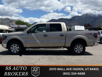 2010 Ford F150