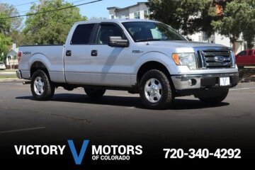 2010 Ford F150