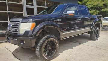 2010 Ford F150