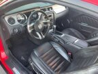 Thumbnail Photo 6 for 2010 Ford Mustang