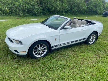 Photo 1 for 2010 Ford Mustang