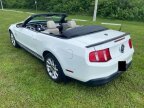 Thumbnail Photo 1 for 2010 Ford Mustang