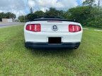 Thumbnail Photo 4 for 2010 Ford Mustang