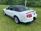 Thumbnail Photo 2 for 2010 Ford Mustang