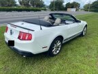 Thumbnail Photo 3 for 2010 Ford Mustang