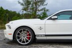 Thumbnail Photo 4 for 2010 Ford Mustang