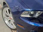 Thumbnail Photo 2 for 2010 Ford Mustang Shelby GT500
