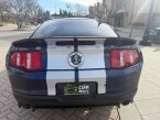 Thumbnail Photo 6 for 2010 Ford Mustang Shelby GT500