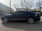 Thumbnail Photo 5 for 2010 Ford Mustang Shelby GT500