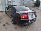 Thumbnail Photo 5 for 2010 Ford Mustang Shelby GT500