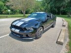 Thumbnail Photo 3 for 2010 Ford Mustang Shelby GT500