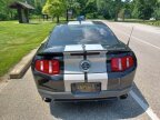Thumbnail Photo 2 for 2010 Ford Mustang Shelby GT500