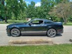 Thumbnail Photo 4 for 2010 Ford Mustang Shelby GT500