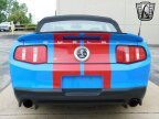 Thumbnail Photo 6 for 2010 Ford Mustang Shelby GT500