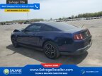 Thumbnail Photo 3 for New 2010 Ford Mustang Coupe