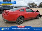 Thumbnail Photo 4 for 2010 Ford Mustang Coupe