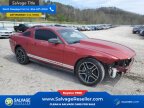Thumbnail Photo 5 for 2010 Ford Mustang Coupe