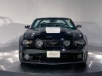 Thumbnail Photo 2 for 2010 Ford Mustang GT Convertible