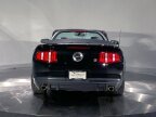 Thumbnail Photo 5 for 2010 Ford Mustang GT Convertible