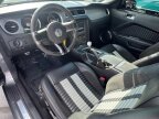 Thumbnail Photo 2 for 2010 Ford Mustang Shelby GT500 Coupe
