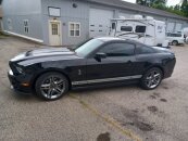 2010 Ford Mustang Shelby GT500