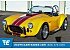 2010 Shelby Cobra