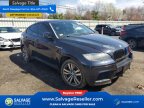 Thumbnail Photo 5 for New 2011 BMW X6M