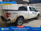 Thumbnail Photo 4 for New 2011 Ford F150
