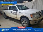 Thumbnail Photo 5 for New 2011 Ford F150