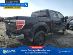 Thumbnail Photo 4 for New 2011 Ford F150