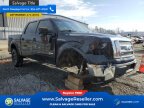 Thumbnail Photo 5 for New 2011 Ford F150