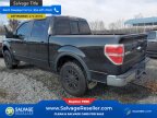 Thumbnail Photo 3 for New 2011 Ford F150