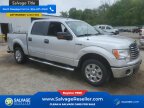Thumbnail Photo 5 for New 2011 Ford F150