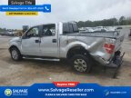 Thumbnail Photo 3 for New 2011 Ford F150