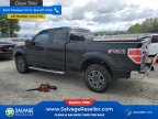 Thumbnail Photo 3 for New 2011 Ford F150