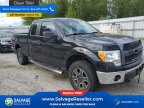 Thumbnail Photo 5 for New 2011 Ford F150