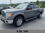 Thumbnail Photo 3 for 2011 Ford F150