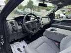 Thumbnail Photo 6 for 2011 Ford F150