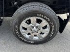 Thumbnail Photo 5 for 2011 Ford F150