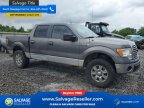 Thumbnail Photo 5 for 2011 Ford F150