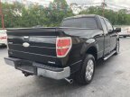 Thumbnail Photo 5 for 2011 Ford F150