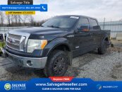 New 2011 Ford F150