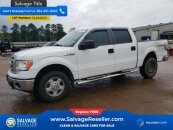 New 2011 Ford F150