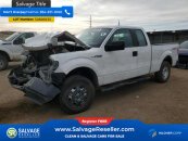 New 2011 Ford F150