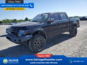 New 2011 Ford F150