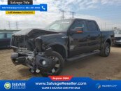 New 2011 Ford F150