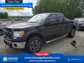 New 2011 Ford F150