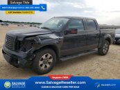 2011 Ford F150
