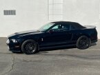 Thumbnail Photo 4 for 2011 Ford Mustang Shelby GT500 Convertible