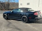 Thumbnail Photo 6 for 2011 Ford Mustang Shelby GT500 Convertible